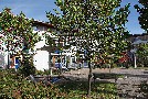 03-IMG_0909