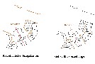 04-06-WMN-Praesentationsplan1+2-1